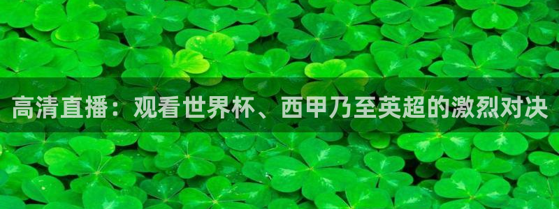 高清直播：观看世界杯、西甲乃至英超的激烈对决