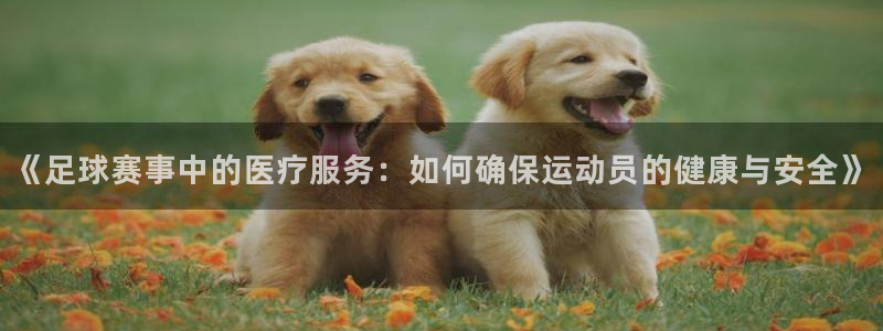 《足球赛事中的医疗服务：如何确保运动员的健康与安全》