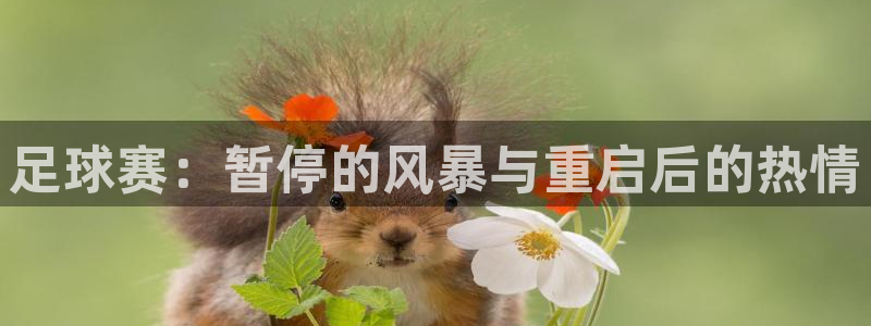 足球赛：暂停的风暴与重启后的热情