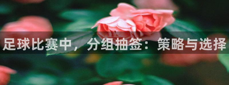 足球比赛中，分组抽签：策略与选择