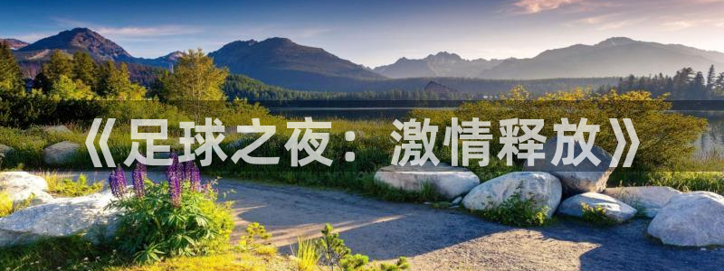 《足球之夜：激情释放》