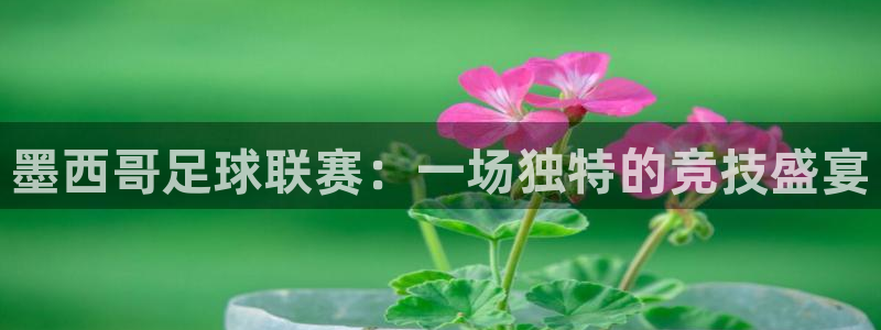 墨西哥足球联赛：一场独特的竞技盛宴