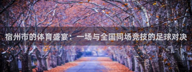宿州市的体育盛宴：一场与全国同场竞技的足球对决