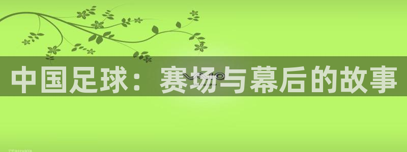 中国足球：赛场与幕后的故事