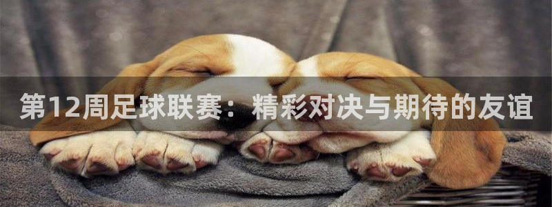 第12周足球联赛：精彩对决与期待的友谊