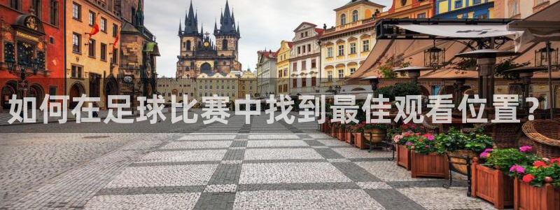 如何在足球比赛中找到最佳观看位置？