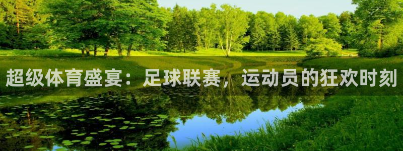 超级体育盛宴：足球联赛，运动员的狂欢时刻