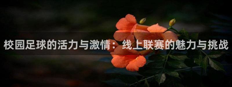  校园足球的活力与激情：线上联赛的魅力与挑战