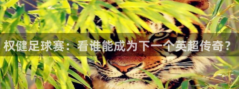  权健足球赛：看谁能成为下一个英超传奇？
