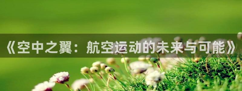 betway西汉姆联