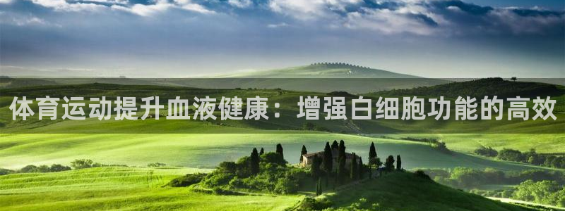 betway西汉姆：体育运动提升血液健康：增强白细胞功能的高效