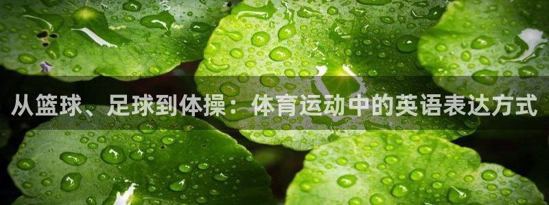 betway西汉姆官网：从篮球、足球到体操：体育运动中的英语表达方式