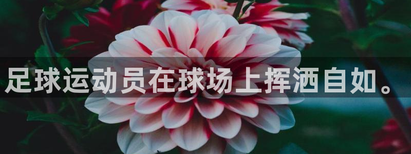 betway西汉姆联