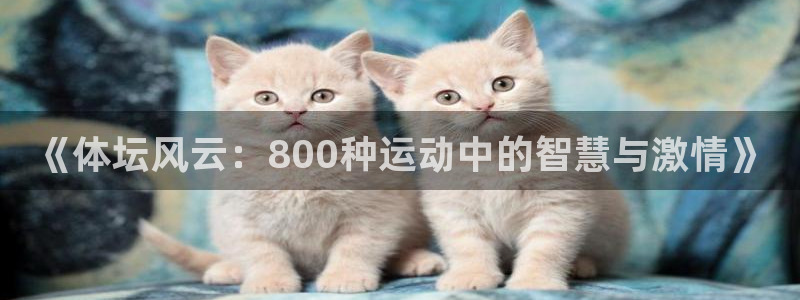 betway西汉姆联