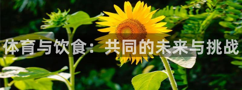 betway西汉姆：体育与饮食：共同的未来与挑战