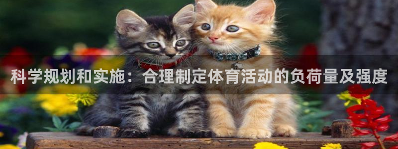 betway西汉姆官网：科学规划和实施：合理制定体育活动的负荷量及强度