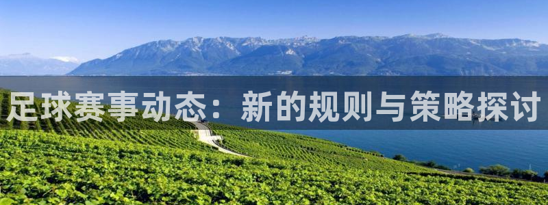 足球赛事动态：新的规则与策略探讨