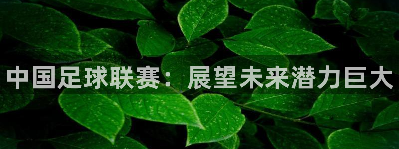 中国足球联赛：展望未来潜力巨大