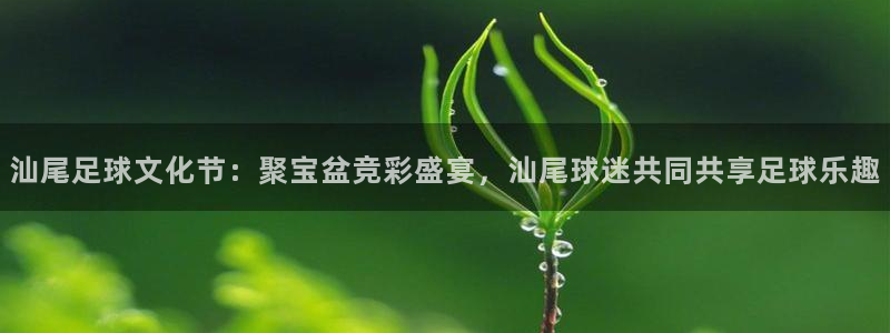 汕尾足球文化节：聚宝盆竞彩盛宴，汕尾球迷共同共享足球乐趣