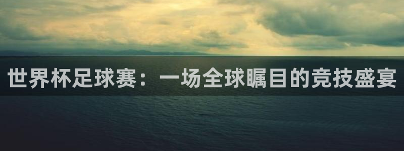 世界杯足球赛：一场全球瞩目的竞技盛宴