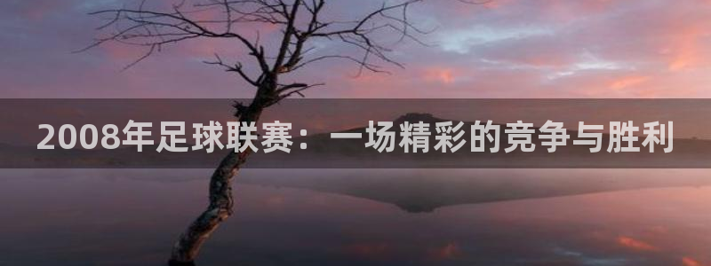 2008年足球联赛：一场精彩的竞争与