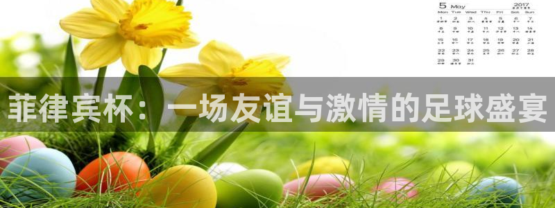 菲律宾杯：一场友谊与激情的足球盛宴