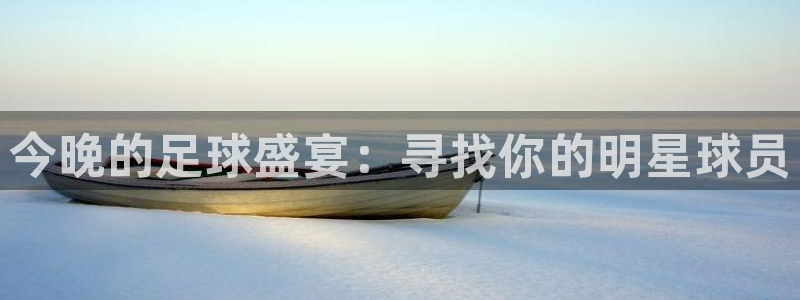今晚的足球盛宴：寻找你的明星球员