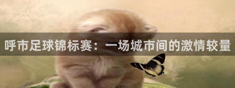 呼市足球锦标赛：一场城市间的激情较量