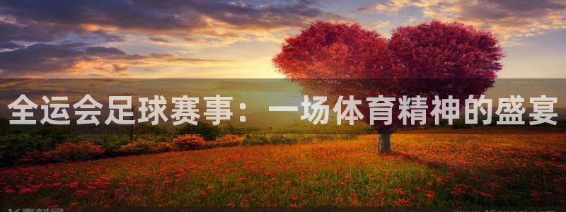 全运会足球赛事：一场体育精神的盛宴