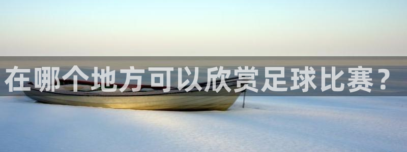 在哪个地方可以欣赏足球比赛？