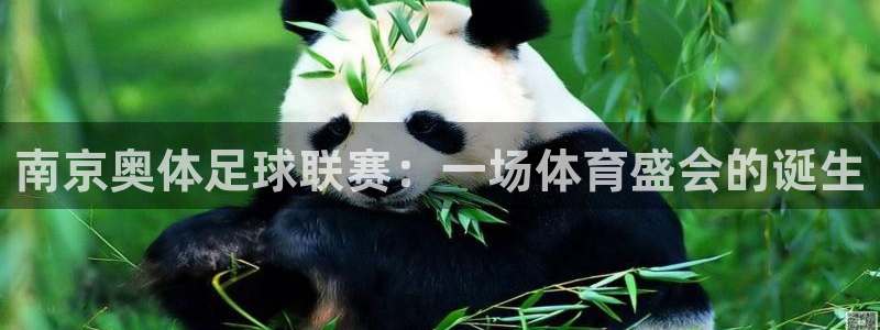 南京奥体足球联赛：一场体育盛会的诞生