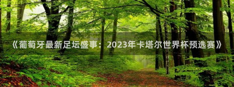《葡萄牙最新足坛盛事：2023年卡塔