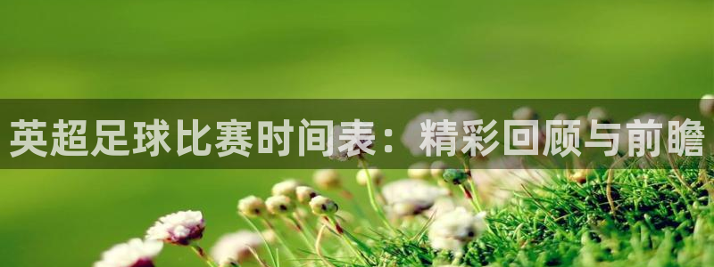 英超足球比赛时间表：精彩回顾与前瞻