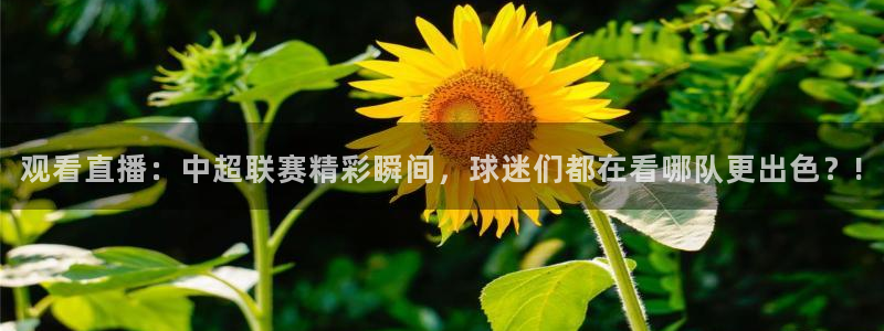 观看直播：中超联赛精彩瞬间，球迷们都