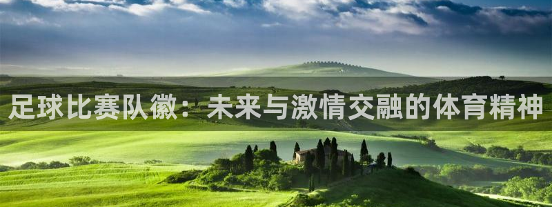 足球比赛队徽：未来与激情交融的体育精